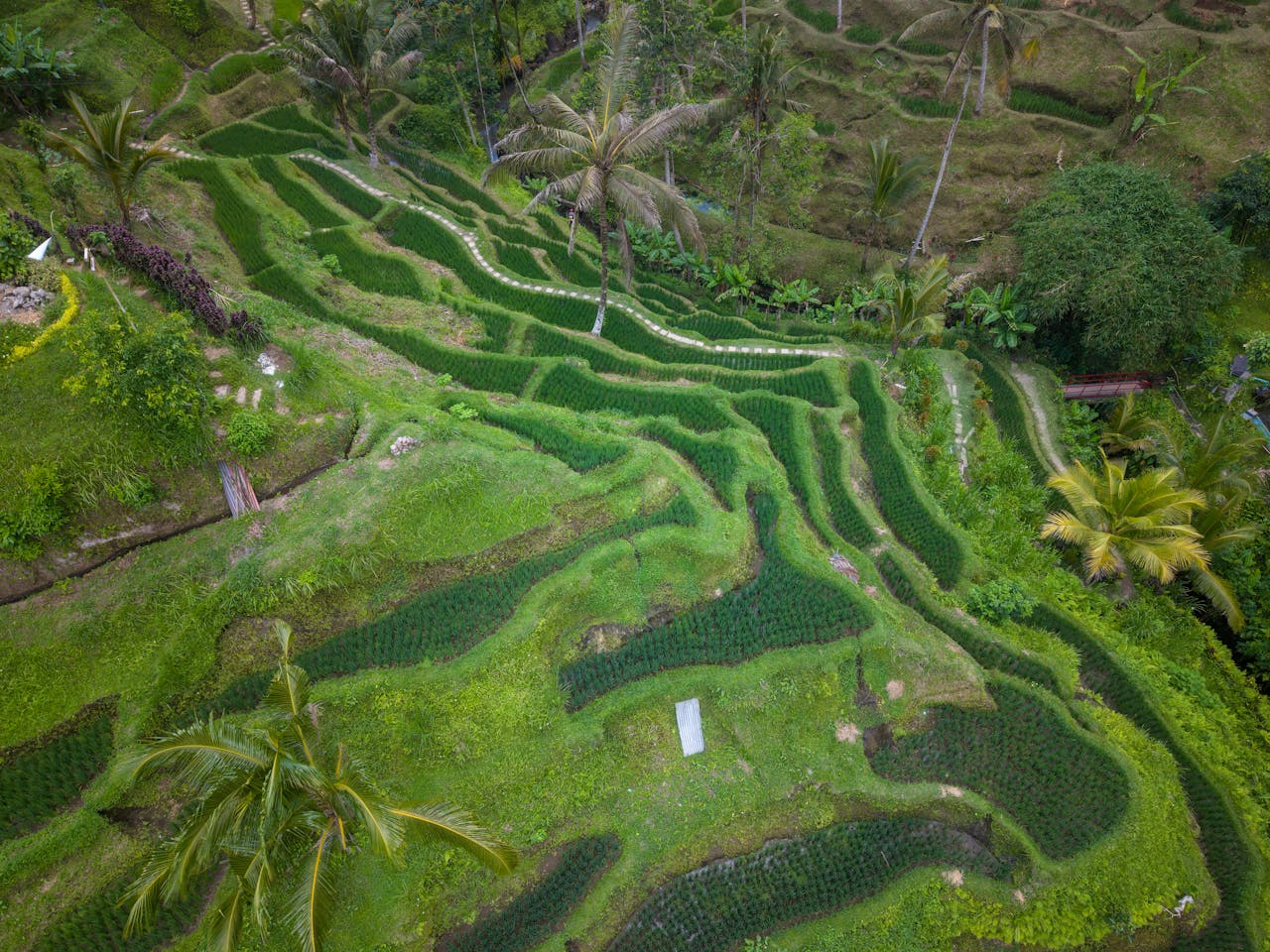 Bali 2
