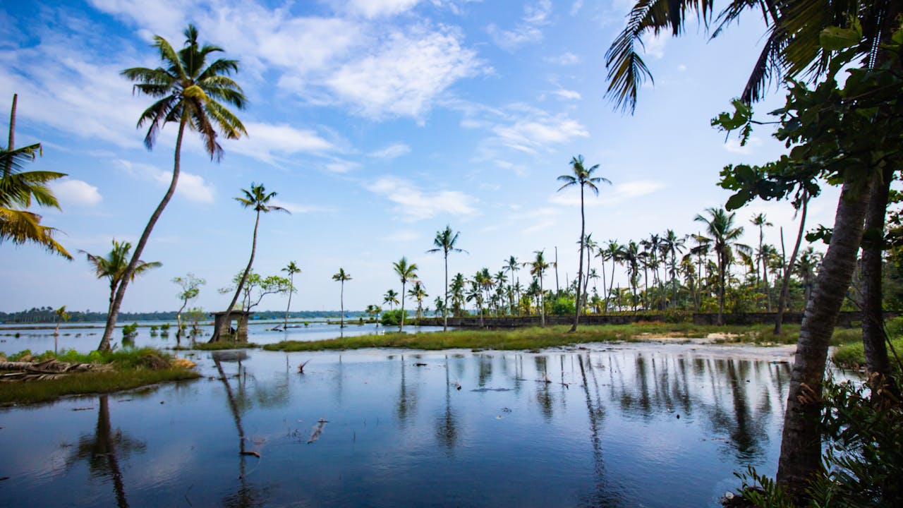 Kerala 2